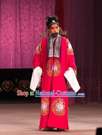 Chinese Beijing Opera Garment Peking Opera Judge Bao and the Qin Xianglian Case Apparels Elderly Male Gongsun Ce Red Costumes and Headwear