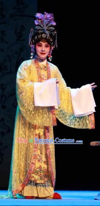 Traditional Chinese Peking Opera Empress Apparels Garment The Revenge of Prince Zi Dan Hua Tan Queen Dress Costumes and Headdress