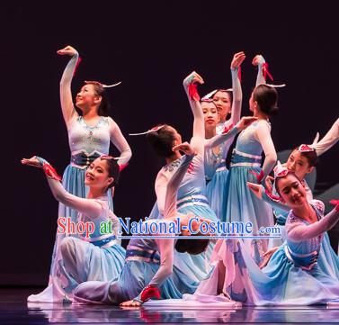 Chinese Swan Folk Dance Blue Dress Traditional Classical Dance Stage Performance Costume for Women