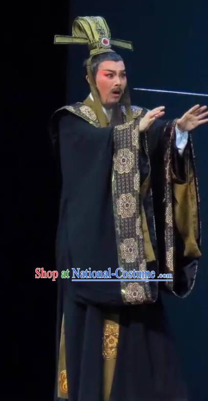 Hedda or Aspiration Sky High Chinese Yue Opera Laosheng Official Costumes and Headwear Shaoxing Opera Elderly Male Scholar Garment Apparels