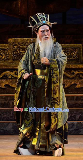 Chinese Yue Opera Elderly Male Apparels Costumes and Headwear Qu Yuan Shaoxing Opera Laosheng Official Zhang Yi Garment