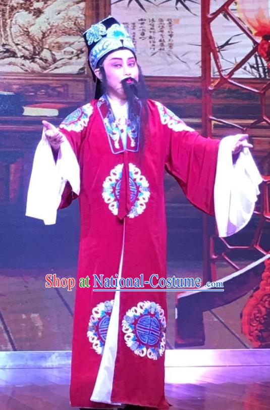 Chinese Yue Opera Laosheng Garment and Headwear The Crimson Palm Shaoxing Opera Elderly Male Landlord Wang Chun Apparels Costumes