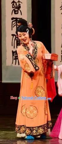 Chinese Shaoxing Opera Procuress Chen Sanliang Dress Apparels Costumes and Headpieces Yue Opera Madam Garment