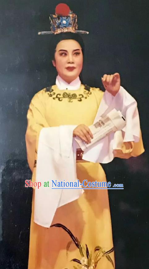 Chinese Yue Opera Xiaosheng Mo Chou Nv Costumes and Headwear Shaoxing Opera Young Male Garment Scholar Lu Yong Apparels