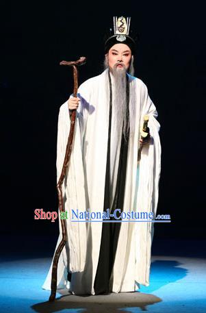 Chinese Yue Opera Old Man Apparels Costumes and Headwear Da Mo Li Ge Shaoxing Opera Elderly Male Garment