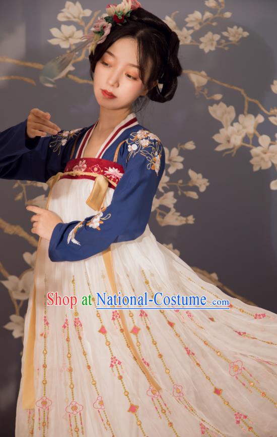 Chinese Ancient Embroidered Hanfu Dress Court Lady Historical Costumes Traditional Tang Dynasty Garment