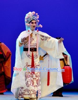 Chinese Classical Kun Opera Swordsman Garment The Purple Hairpin Peking Opera Niche Costumes Wusheng Apparels and Hat