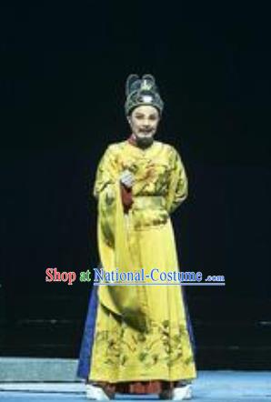 Chinese Yue Opera Emperor Costumes and Headwear Shaoxing Opera Wang Yangming Laosheng Garment Apparels Imperial Robe