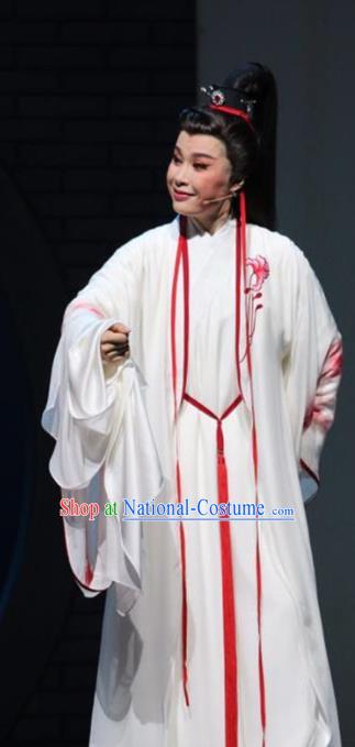 Chinese Yue Opera Scholar Wu Yi Lane Wang Huizhi White Costumes and Headwear Shaoxing Opera Xiaosheng Young Male Garment Apparels