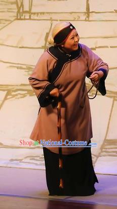 Chinese Shaoxing Opera Old Dame Garment Costumes and Headdress Mistress Xiang Lin Yue Opera Elderly Female Apparels