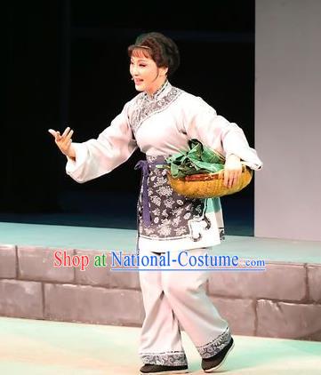 Chinese Shaoxing Opera Servant Female Garment Costumes and Headdress Mistress Xiang Lin Yue Opera Apparels