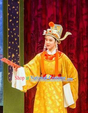 Hua Zhong Jun Zi Chinese Yue Opera Young Male Apparels and Headwear Shaoxing Opera Eunuch Garment Costumes