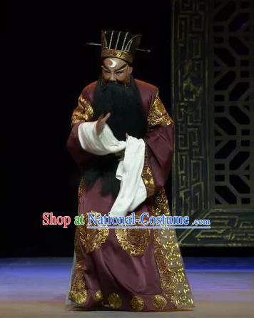 Chinese Yue Opera Laosheng Elderly Male Baozheng Tears Apparels and Hat Shaoxing Opera Garment Costumes Official Robe Vestment