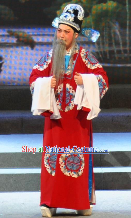 Chinese Yue Opera Elderly Man Qing Jian Fan Ying Apparels and Headwear Shaoxing Opera Laosheng Garment Official Embroidered Robe Costumes