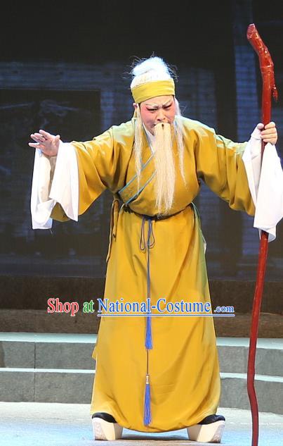 Chinese Yue Opera Old Male Qing Jian Fan Ying Apparels and Headwear Shaoxing Opera Laosheng Elderly Man Costumes Garment