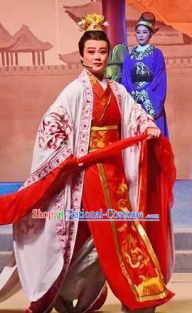 Chinese Yue Opera Crown Prince Apparels and Headwear Hu Po Yuan Shaoxing Opera Xiaosheng Wedding Garment Costumes