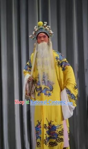 Bai Sui Gua Shuai Chinese Yue Opera Laosheng Apparels and Headwear Shaoxing Opera Elderly Male Garment Emperor Costumes