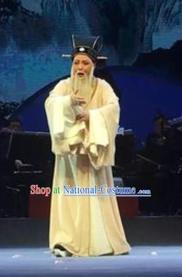 The Orphan of Zhao Chinese Yue Opera Elderly Male Garment Costumes and Headwear Shaoxing Opera Minister Gongsun Chujiu Apparels