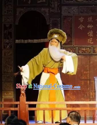 Bai Sui Gua Shuai Chinese Yue Opera Laosheng Apparels and Headwear Shaoxing Opera Elderly Male Garment Costumes