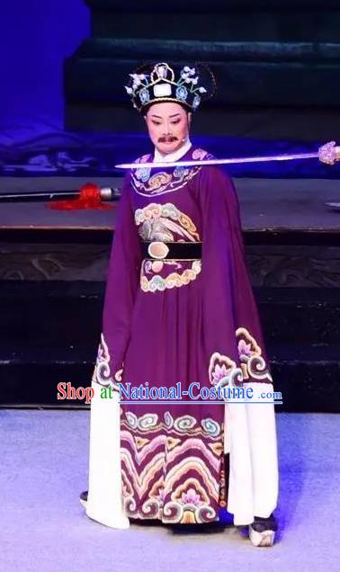 Mrs Dayi Chinese Yue Opera Treacherous Official Qin Hui Garment Costumes and Headwear Shaoxing Opera Laosheng Elderly Male Apparels