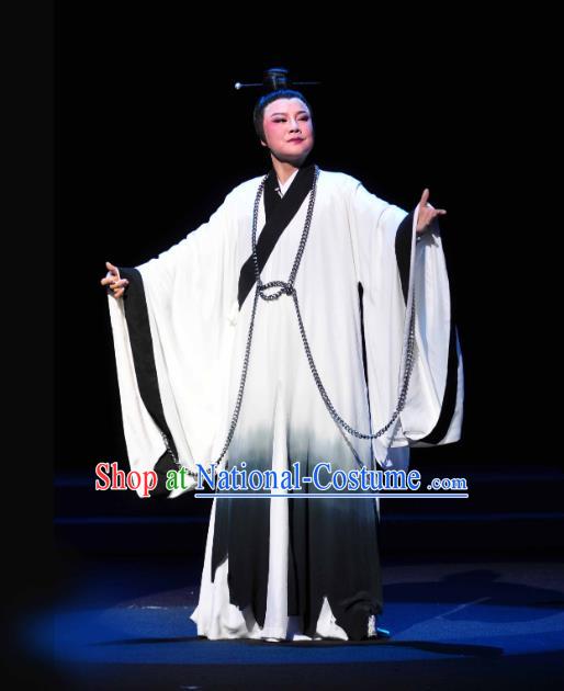 Chinese Yue Opera Scholar Zhang Lun Garment and Headwear Shaoxing Opera Xiaosheng Young Male Costumes