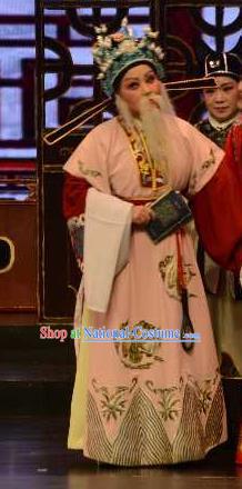 Mei Long Zhen Chinese Yue Opera Old Man Garment and Headwear Shaoxing Opera Elderly Chancellor Costumes