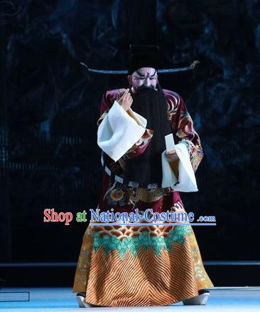 Chinese Kun Opera Rain on the Phoenix Tree Garment Costumes and Headwear Kunqu Opera Elderly Male Official Apparels Clothing