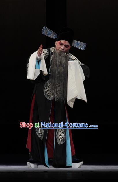 Dream of Red Mansions Chinese Kun Opera Elderly Male Jia Zheng Apparels Garment Costumes and Hat Kunqu Opera Laosheng Clothing