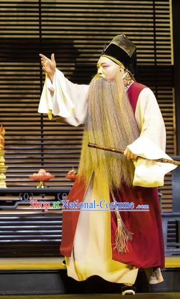 the Legend of Washing the Silk Gauze Chinese Kun Opera Laosheng Apparels Garment Costumes and Headwear Kunqu Opera Old Man Clothing