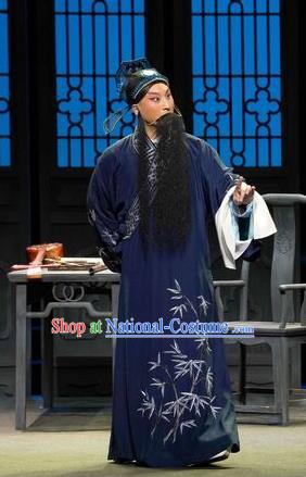 Chinese Kun Opera Middle Age Man Zhang Yetang Apparels Garment Costumes and Headwear the Legend of Washing the Silk Gauze Kunqu Opera Elderly Male Clothing