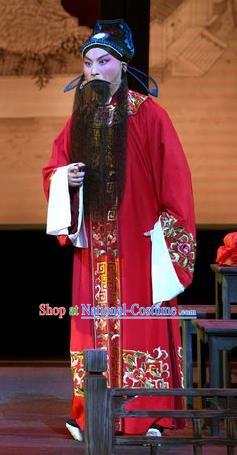 Chinese Kun Opera Laosheng Zhang Yetang Apparels Garment Costumes and Headwear the Legend of Washing the Silk Gauze Kunqu Opera Elderly Male Clothing