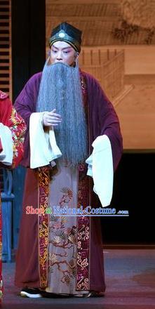 Chinese Kun Opera Apparels Garment Costumes and Headwear the Legend of Washing the Silk Gauze Kunqu Opera Laosheng Old Man Clothing