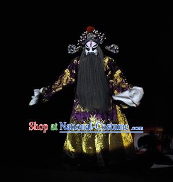 The Tale of Handan Chinese Kun Opera Laosheng Apparels and Headwear Kunqu Opera Garment Costumes Prime Minister Embroidered Robe