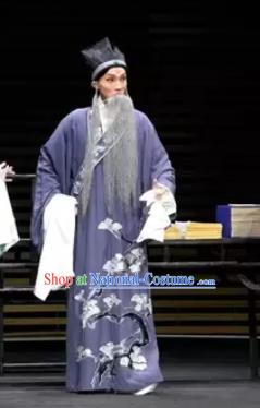 Gu Yanwu Chinese Elderly Male Apparels and Headwear Kunqu Opera Laosheng Garment Purple Robe Costumes