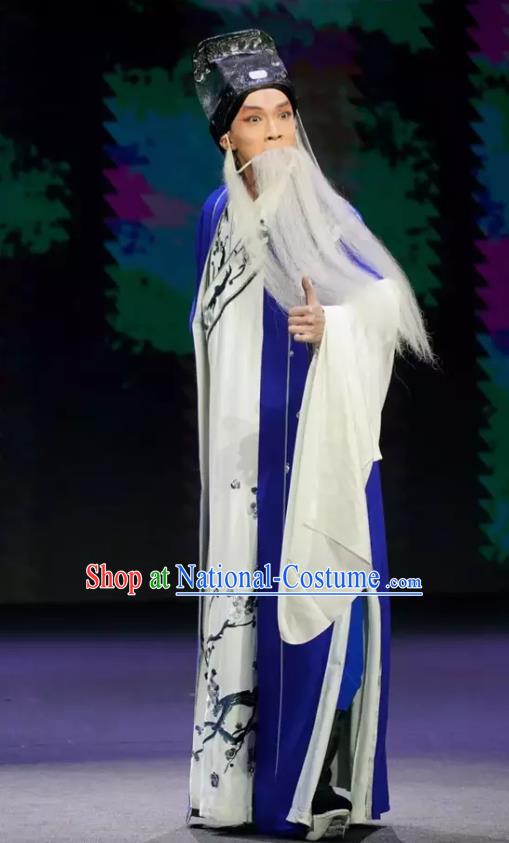 Gu Yanwu Chinese Old Man Apparels and Headwear Kunqu Opera Laosheng Garment Elderly Male Costumes