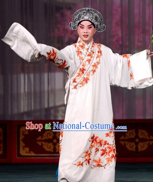 Dream in The Garden Chinese Kun Opera Young Scholar Liu Mengmei Costumes and Headwear Kunqu Opera Xiaosheng Garment Apparels