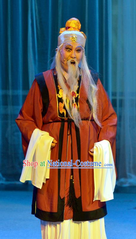 Chinese Yue Opera God of Land Apparels Pi Shan Jiu Mu Garment Shaoxing Opera Elderly Male Costumes and Headdress