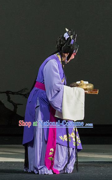 Chinese Kun Opera Woman Purple Dress Apparels Costumes and Hair Accessories Continue the Pipa Traditional Kunqu Opera Young Lady Garment