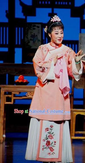 Chinese Huangmei Opera Young Mistress Li Niang Costumes Apparels and Headpieces Bu Yue Lei Chi Traditional Anhui Opera Female Dress Garment