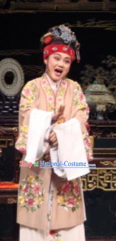 Chinese Shaoxing Opera Rich Dame Costumes The Pearl Tower Apparels Yue Opera Garment Countess Dress and Headdress