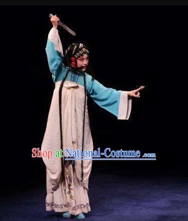 Chinese Kun Opera Young Lady Dress Costumes and Headdress The Prophetic Paintings Traditional Kunqu Opera Court Maid Fei Zhen E Garment Apparels