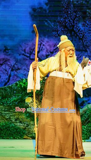 Chinese Huangmei Opera Old Man Goddess Marriage Apparels Costumes and Headwear An Hui Opera Elderly Male Garment Clothing