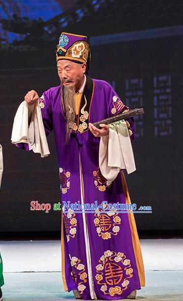 Chinese Huangmei Opera Elderly Man Garment Goddess Marriage Costumes and Headwear An Hui Opera Landlord Fu Apparels Clothing