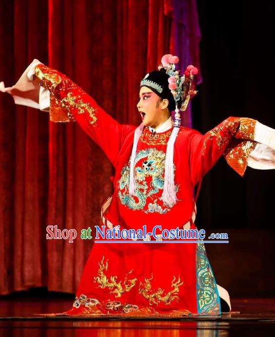 Chinese Huangmei Opera Xiaosheng Female Consort Prince Garment Costumes and Headwear An Hui Opera Scholar Li Zhaoting Apparels Young Male Clothing