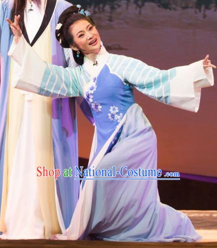 Chinese Huangmei Opera Young Female Garment Costumes and Headpieces Li Shizhen Traditional Anhui Opera Blue Dress Apparels