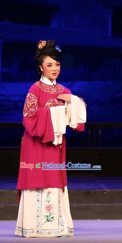 Chinese Huangmei Opera Rich Dame Costumes and Headdress Female Consort Prince Traditional Anhui Opera Countess Dress Garment Apparels