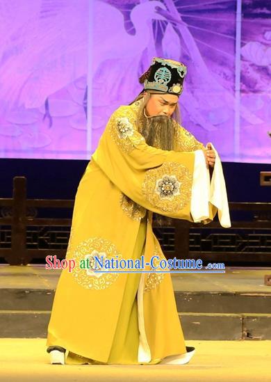 Chinese Huangmei Opera Landlord Female Consort Prince Garment Costumes and Headwear An Hui Opera Elderly Male Feng Shunqing Apparels Clothing