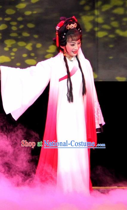 Chinese Huangmei Opera Young Lady Garment Costumes and Headpieces Su Dongpo Traditional Anhui Opera Hua Tan Dress Diva Apparels