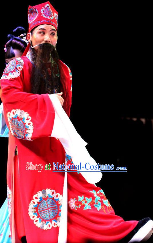 True and False Groom Chinese Huangmei Opera Ministry Councillor Costumes and Headwear An Hui Opera Laosheng Landlord Apparels Clothing