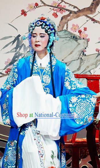 Chinese Shaoxing Opera Old Woman Dress The Jade Hairpin Yue Opera Costumes Elderly Female Apparels Garment and Headpieces